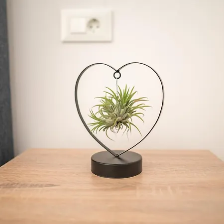 Appartement Hilltop Kéfalos